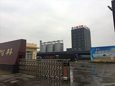 Annual production of 80000 tons of cattle and sheep feed production line